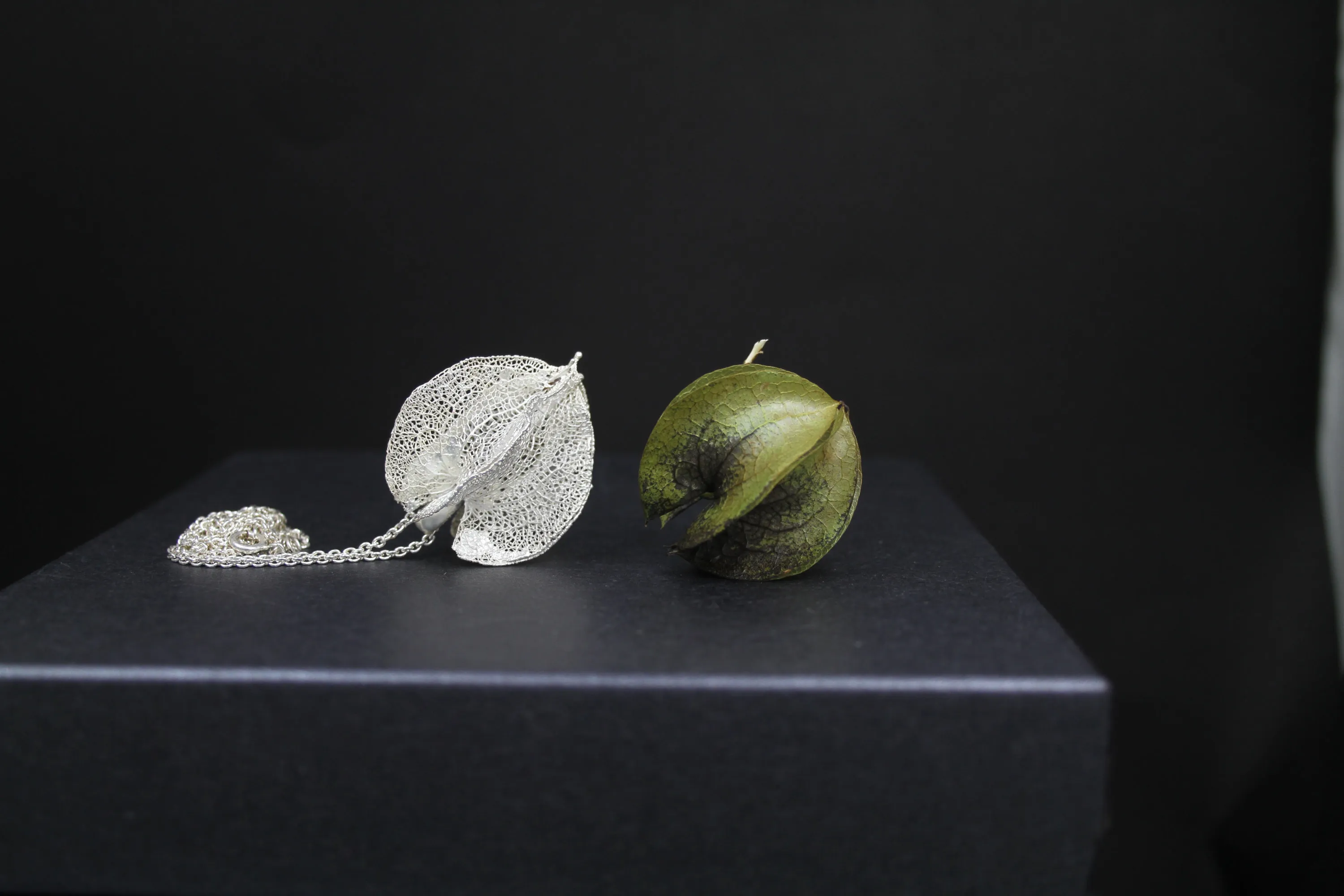 Frucht des Lebens patiniert