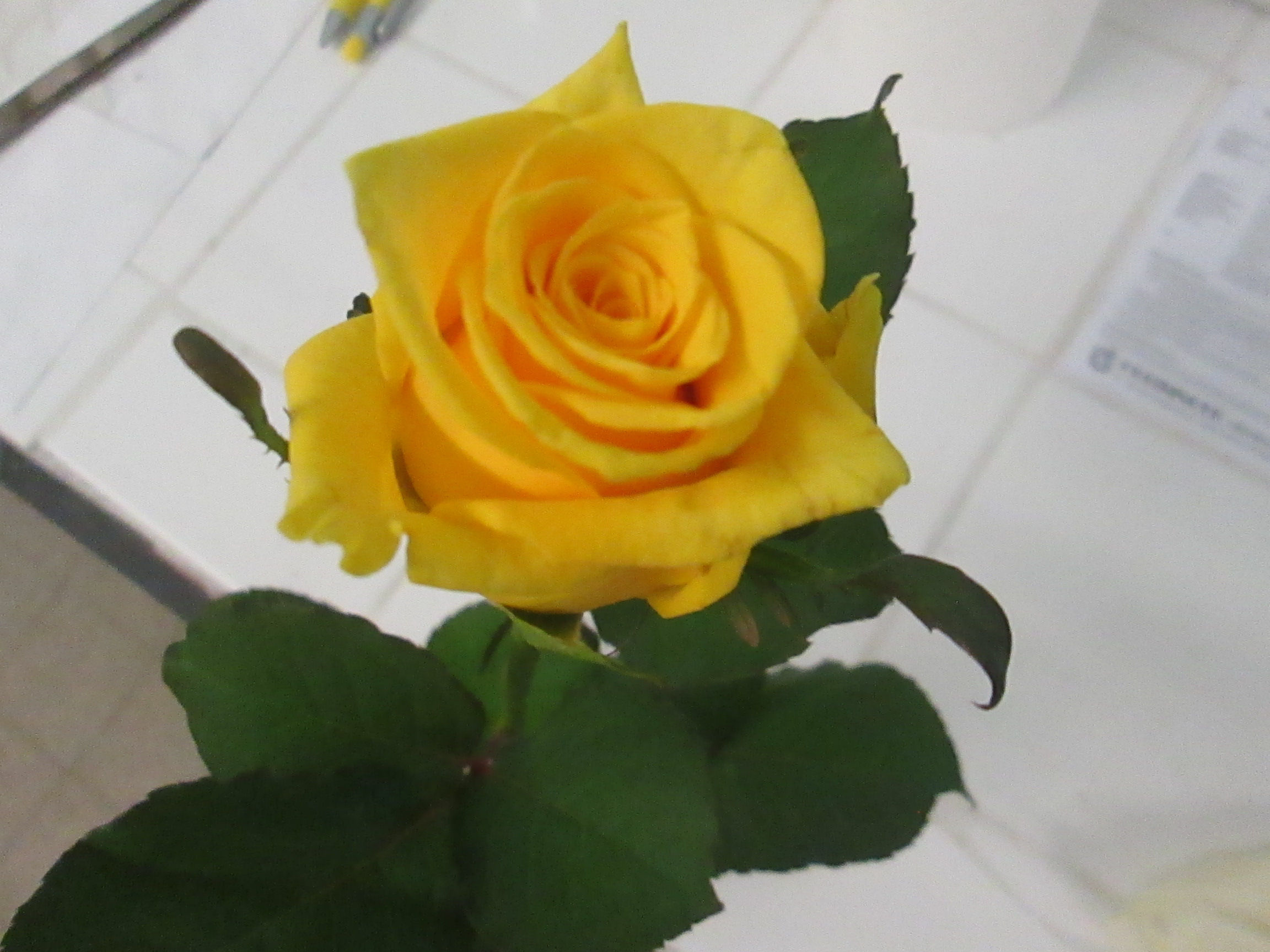 kupferleitlack spray conducting paint elektrisch leiten leitfaehige farbe spray deckolack